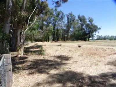 Second view of Homely rural property listing, 1280 prairie road, Lockington VIC 3563