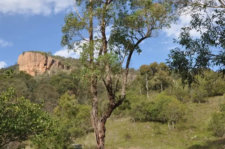 Third view of Homely rural property listing, 888 Sandy Creek Rd, McCullys Gap via, Muswellbrook NSW 2333