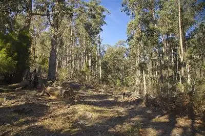 Fourth view of Homely land listing, - Judds Creek Road, Judbury TAS 7109