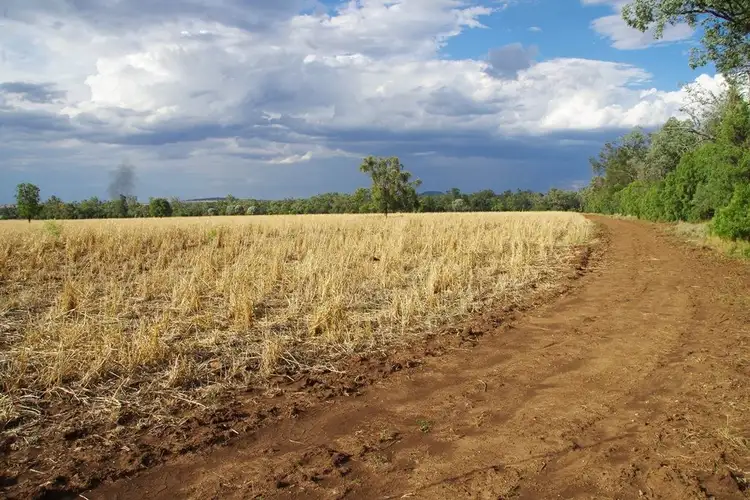 Main view of Homely rural property listing, . Melburra Road, Edgeroi NSW 2390