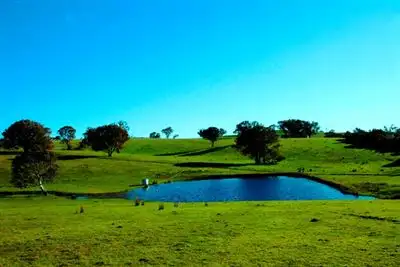 Fifth view of Homely rural property listing, 387 Bigga Road, Binda NSW 2583