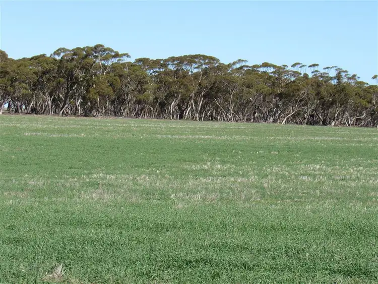 Seventh view of Homely rural property listing, Lot 37M Whim Road, Booleroo Centre SA 5482