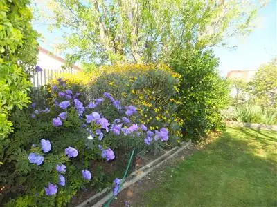 Sixth view of Homely house listing, 15 Meyer Street, Donald VIC 3480