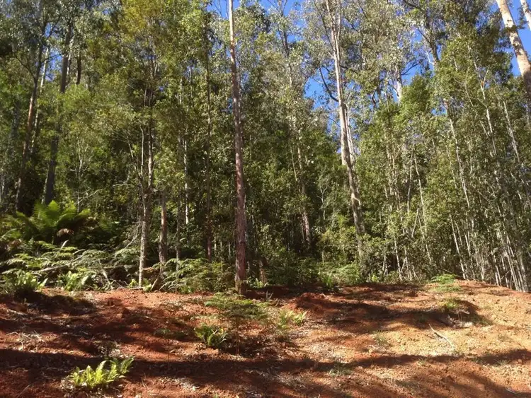 Fourth view of Homely land listing, Lot 4 Harveys Road, North Motton TAS 7315