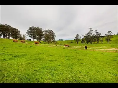 Second view of Homely rural property listing, 195 Sheffield Road, Neerim South VIC 3831