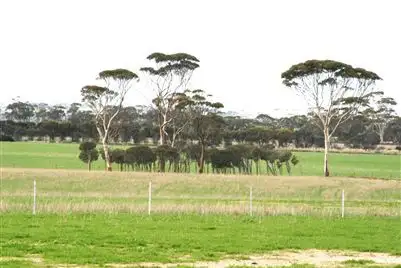 Main view of Homely rural property listing, Address available on request