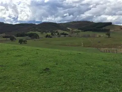 Second view of Homely rural property listing, The Lenore 33 Montana Road, Peelwood NSW 2583