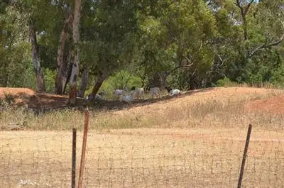 Sixth view of Homely rural property listing, * Lily Park, Louth Road, Cobar NSW 2835