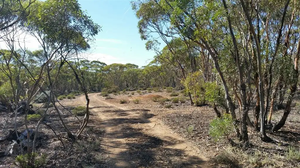 Main view of Homely rural property listing, Lot 7 Stott Highway (Fisher), Swan Reach SA 5354