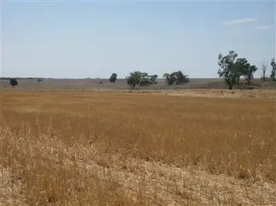 Sixth view of Homely rural property listing, . 'Peronne', Ungarie NSW 2669