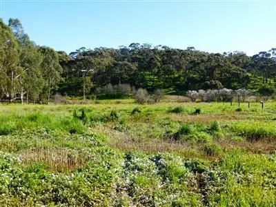 Second view of Homely land listing, 95 Mine Street, Armagh SA 5453