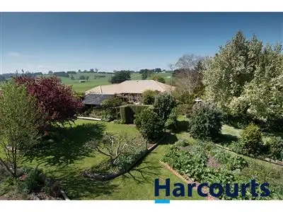 Sixth view of Homely house listing, 243 Lillico Road, Lillico VIC 3820