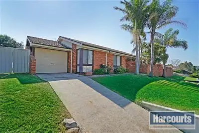 Main view of Homely house listing, 41 Mustang Drive, Raby NSW 2566