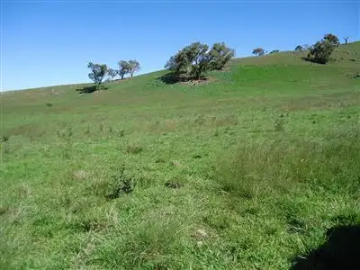 Fifth view of Homely rural property listing, 874 Bara Rd, Mudgee NSW 2850