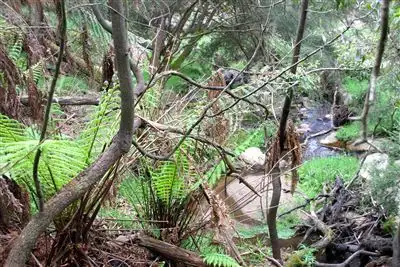 Fourth view of Homely rural property listing, 523 Gap Road, Ruffy VIC 3666