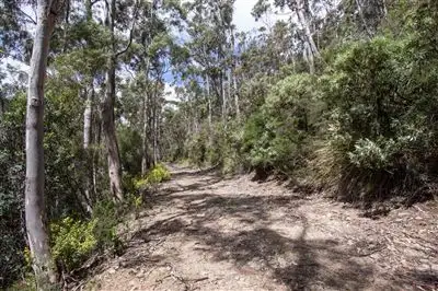 Third view of Homely land listing, - Constance Road, Cygnet TAS 7112