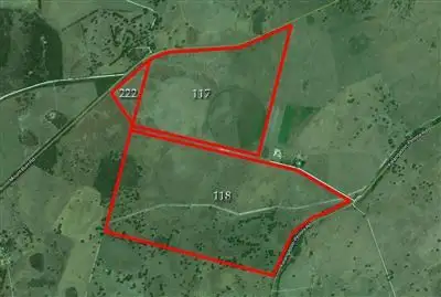 Main view of Homely rural property listing, 117 Mt Burr Road, Penola SA 5277