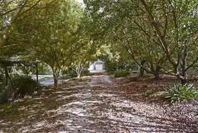 Second view of Homely rural property listing, 561 Forreston Road, Forreston SA 5233