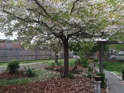 Second view of Homely house listing, 16 Arthur Street, Evandale TAS 7212