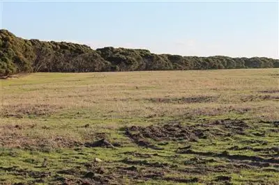 Second view of Homely rural property listing, 65 Boxer Road, Kingscote SA 5223