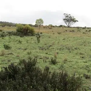 Sixth view of Homely rural property listing, . "Beehive Farm" Carlingup Road, Ravensthorpe WA 6346