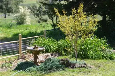 Fifth view of Homely rural property listing, Mungarra, 944 Pulletop Road, Cookardinia, Wagga Wagga NSW 2650