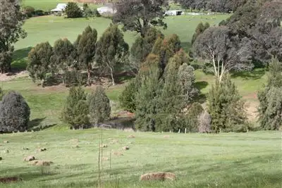 Sixth view of Homely rural property listing, 142 DAVIES STREET, Bridgetown WA 6255