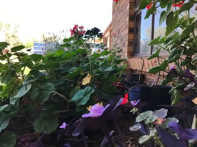 Second view of Homely house listing, 39 Prince Street, Cobar NSW 2835