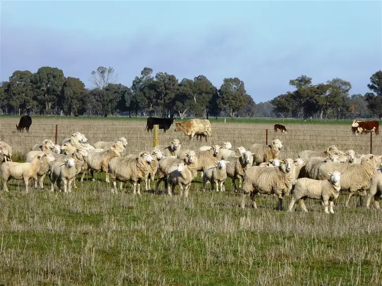 . Walbundrie Road, Culcairn NSW 2660