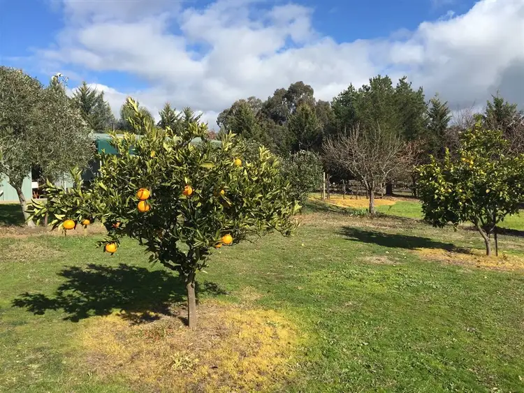 Third view of Homely land listing, 14 Jones Close, Alexandra VIC 3714