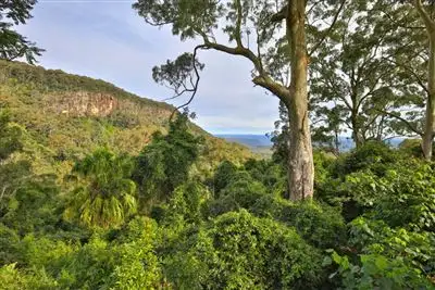 Third view of Homely house listing, 773B Mount Scanzi Road, Kangaroo Valley NSW 2577