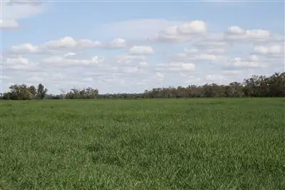 Fifth view of Homely rural property listing, 11677 Merri Merri Way, Coonamble NSW 2829
