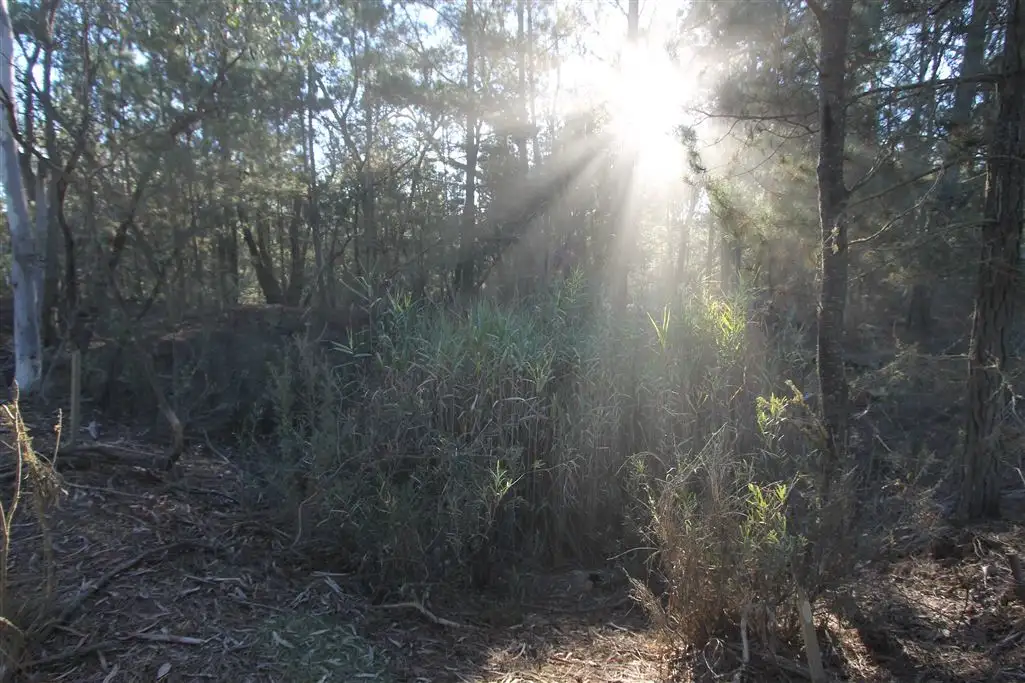 Main view of Homely rural property listing, Lot 124 Nerriga Road Marlowe via, Braidwood NSW 2622