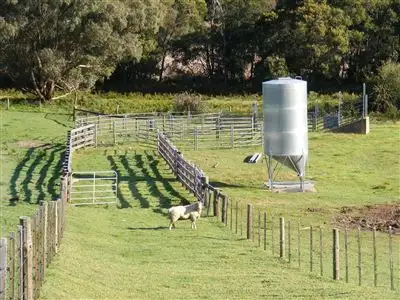 Main view of Homely rural property listing, 137 Sporer's Lane, Mount Burr SA 5279