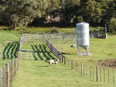 Main view of Homely rural property listing, 137 Sporer's Lane, Mount Burr SA 5279