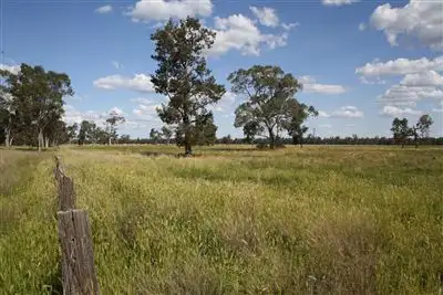 Second view of Homely rural property listing, 2554 East Coonamble Rd, Curban NSW 2827