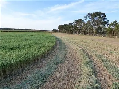 Fourth view of Homely rural property listing, 765 Wonwondah Dadswells Bridge Rd, Laharum VIC 3401