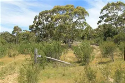 Seventh view of Homely rural property listing, 979 Bombay Road, Braidwood NSW 2622