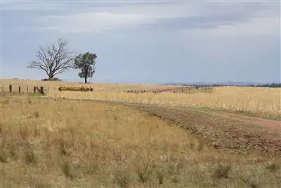 Fifth view of Homely rural property listing, 9R Mendoran Rd, Dubbo NSW 2830