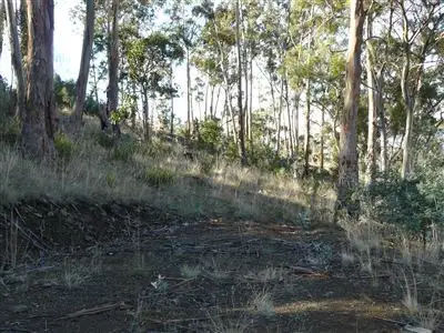 Seventh view of Homely land listing, 124 Church Road, Dromedary TAS 7030