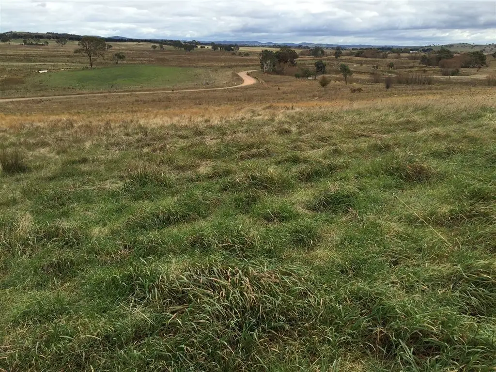 Main view of Homely rural property listing, 1 'Little Yellangalo’ Berrebangalo Road, Gunning NSW 2581