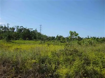 Seventh view of Homely rural property listing, Address available on request