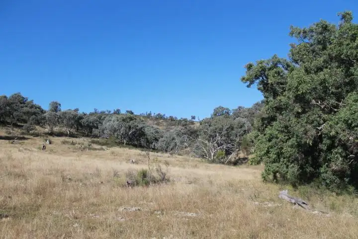 Seventh view of Homely rural property listing, 778 Gulf Road, Emmaville NSW 2371