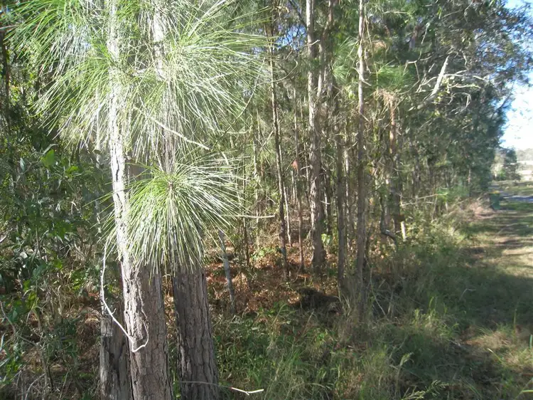 Third view of Homely land listing, 1466-1508 Waterford -Tamborine Road, Logan Village QLD 4207