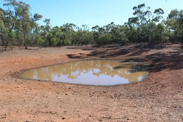Seventh view of Homely rural property listing, * Karoo, Cobar NSW 2835