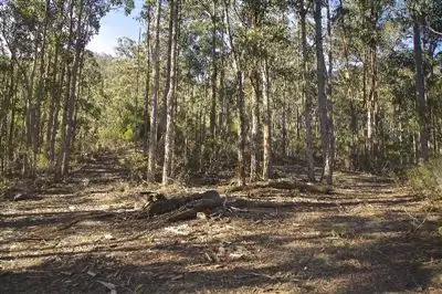 Second view of Homely land listing, - Judds Creek Road, Judbury TAS 7109