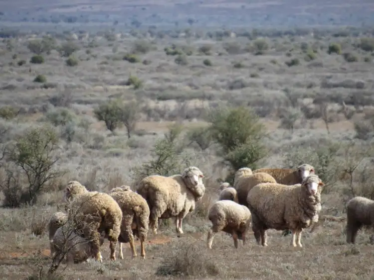 Third view of Homely rural property listing, 93 Tapscott Road, Orroroo SA 5431