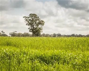 Fifth view of Homely rural property listing, 1350 Geodetic Road, Euroa VIC 3666