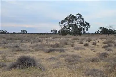 Fifth view of Homely rural property listing, * Darragh, Balranald NSW 2715