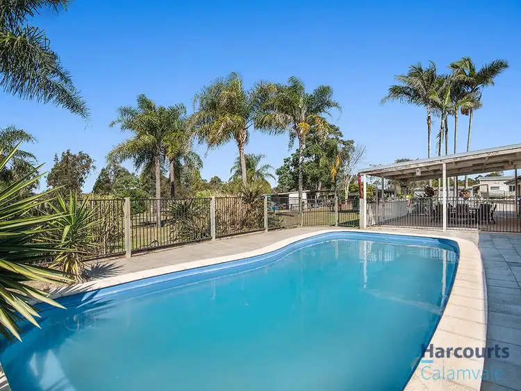 Fifth view of Homely rural property listing, 219-225 Chadwick Drive, South Maclean QLD 4280